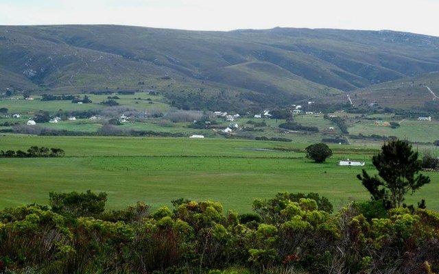 Gansbaai Baardskeerdersbos Huiseienaarsvereniging_1